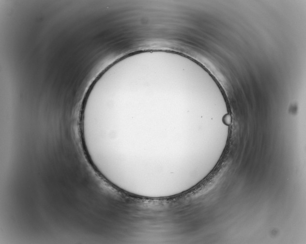 X0000101980901200808151358