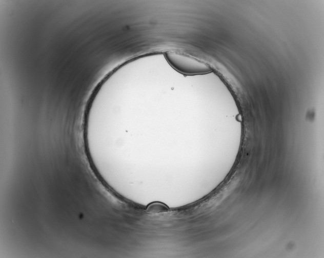 X0000101980902200808151358