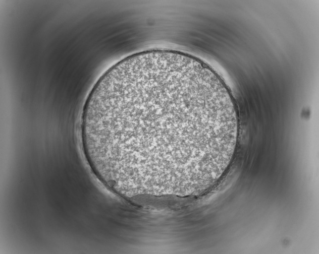 X0000101980903200808151358