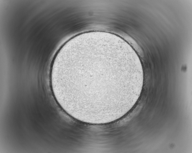 X0000101980904200808151358