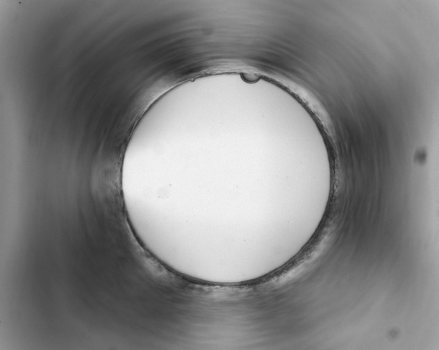 X0000101980905200808151358