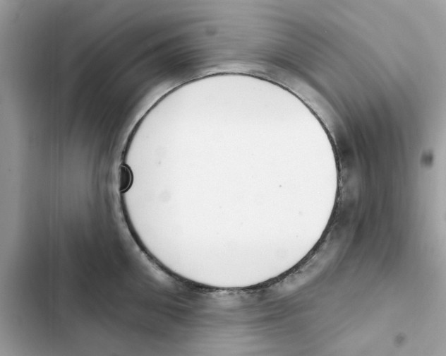 X0000101980906200808151358