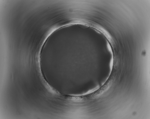 X0000101980907200808151358