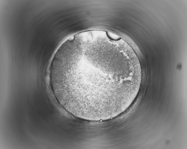 X0000101980908200808151358