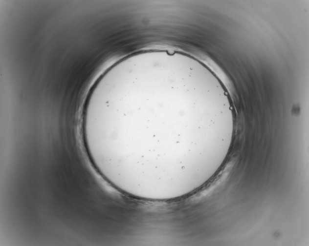 X0000101980909200808151358