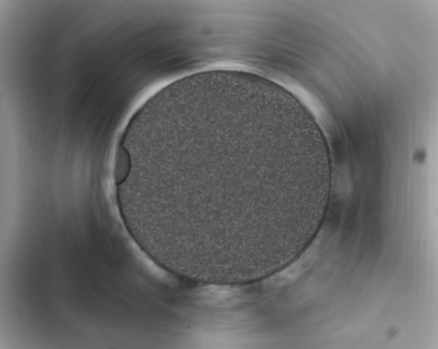 X0000101980910200808151358