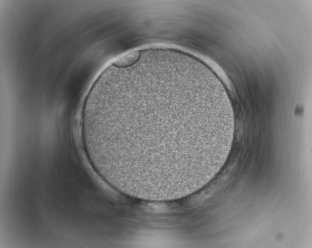 X0000101980911200808151358