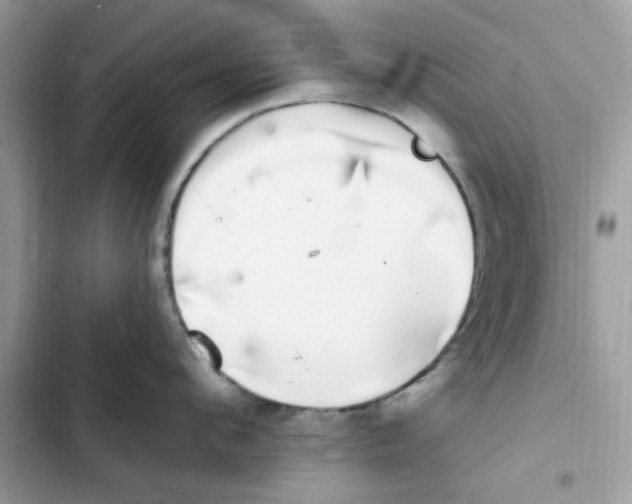 X0000101980912200808151358