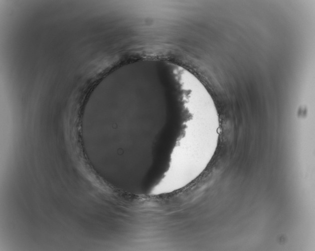 X0000101980913200808151357