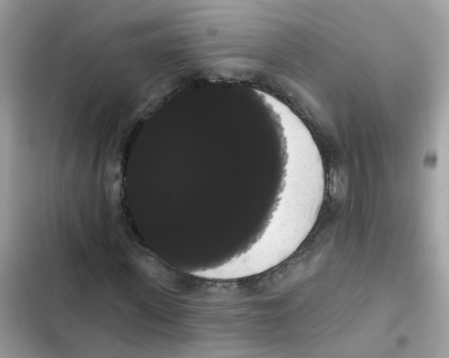 X0000101980915200808151357