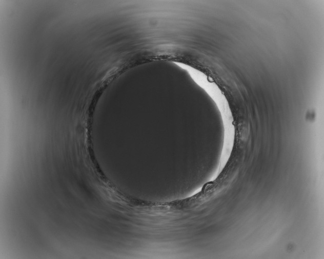 X0000101980916200808151357