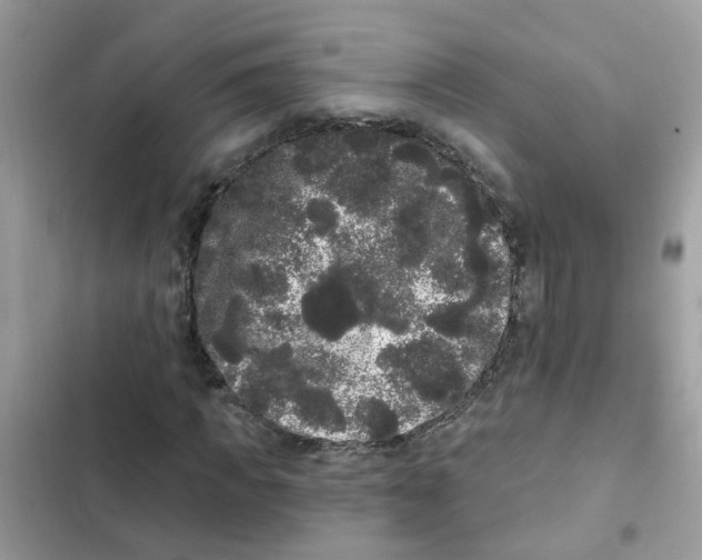 X0000101980917200808151357