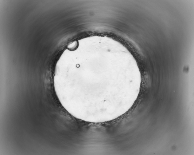 X0000101980918200808151357