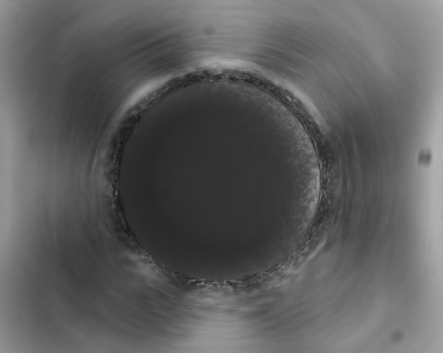 X0000101980919200808151357