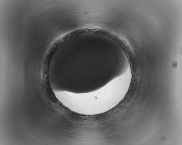 X0000101980920200808151358