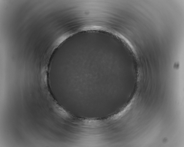 X0000101980921200808151358