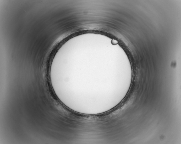 X0000101980922200808151358