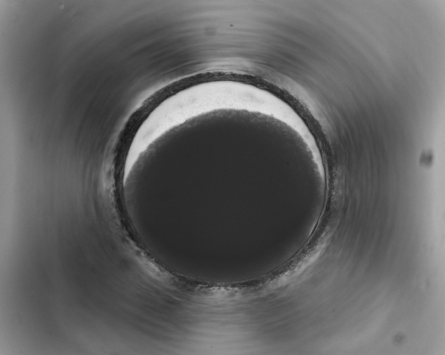 X0000101980923200808151358