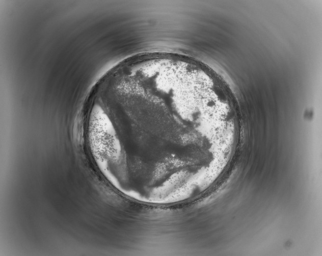 X0000101980925200808151358