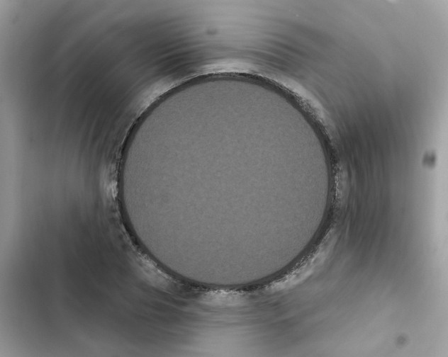 X0000101980929200808151358