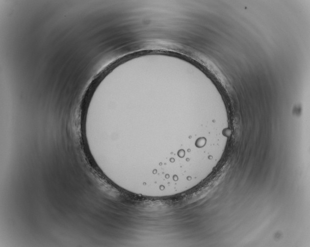 X0000101980931200808151358