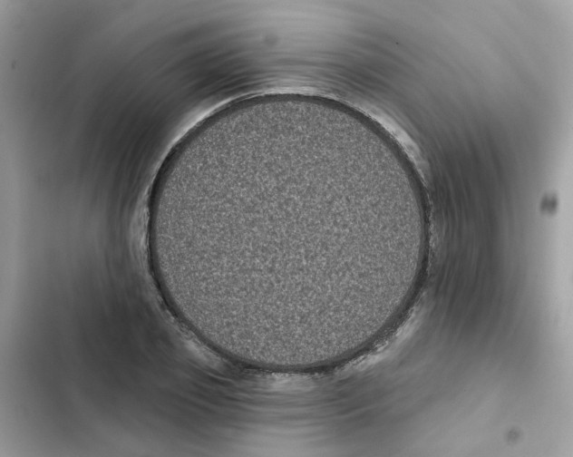 X0000101980933200808151358