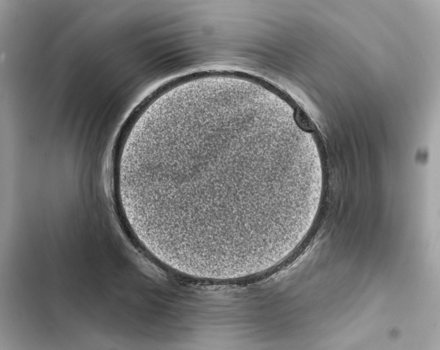 X0000101980934200808151358