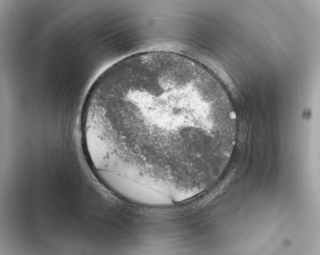 X0000101980936200808151358