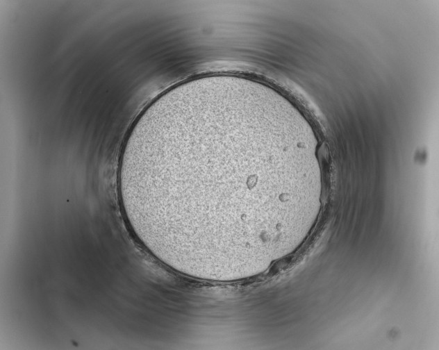 X0000101980937200808151358