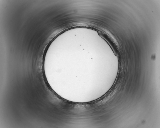 X0000101980938200808151358