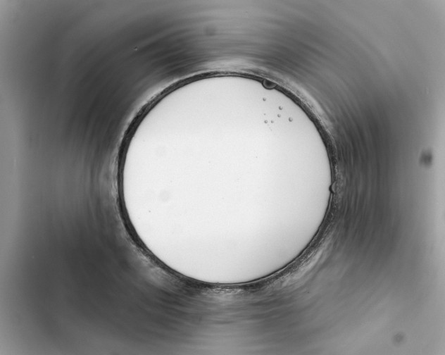 X0000101980939200808151358