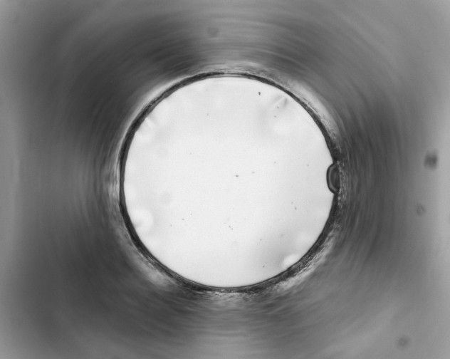 X0000101980940200808151358