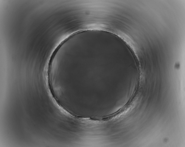 X0000101980941200808151358