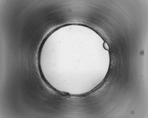 X0000101980942200808151358