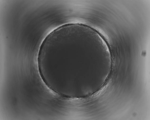 X0000101980943200808151358