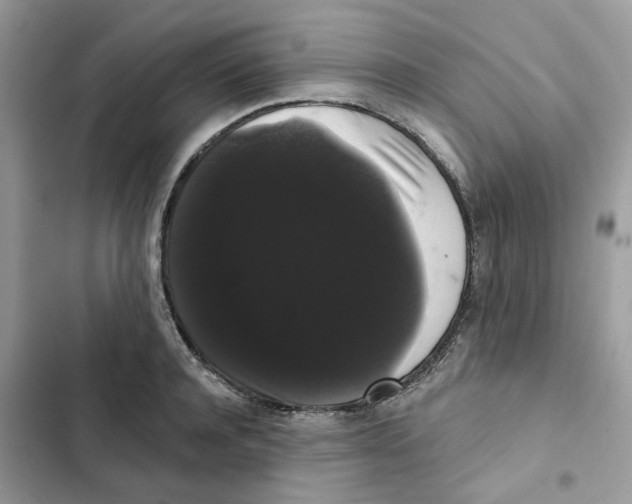 X0000101980944200808151358