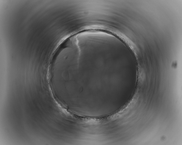 X0000101980945200808151358