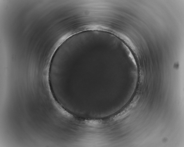 X0000101980946200808151358