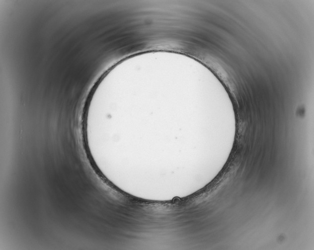 X0000101980947200808151358