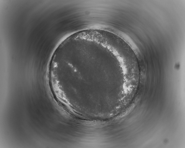 X0000101980948200808151358