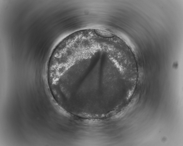 X0000101980952200808151358