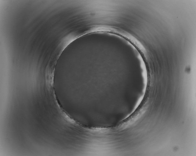 X0000101980953200808151358