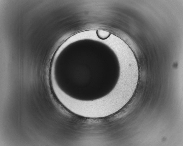 X0000101980954200808151358