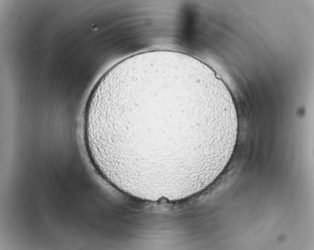 X0000101980955200808151358