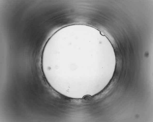 X0000101980956200808151358