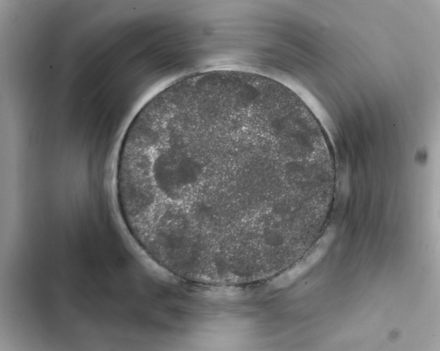 X0000101980957200808151358