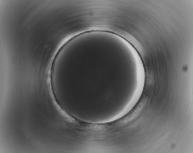 X0000101980958200808151358