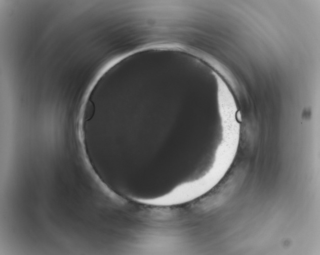 X0000101980959200808151358