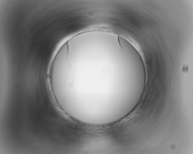 X0000101980960200808151358