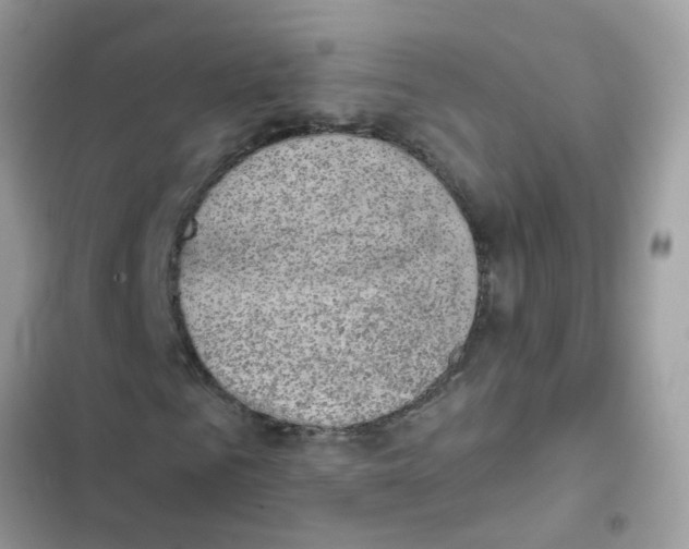 X0000101980961200808151357